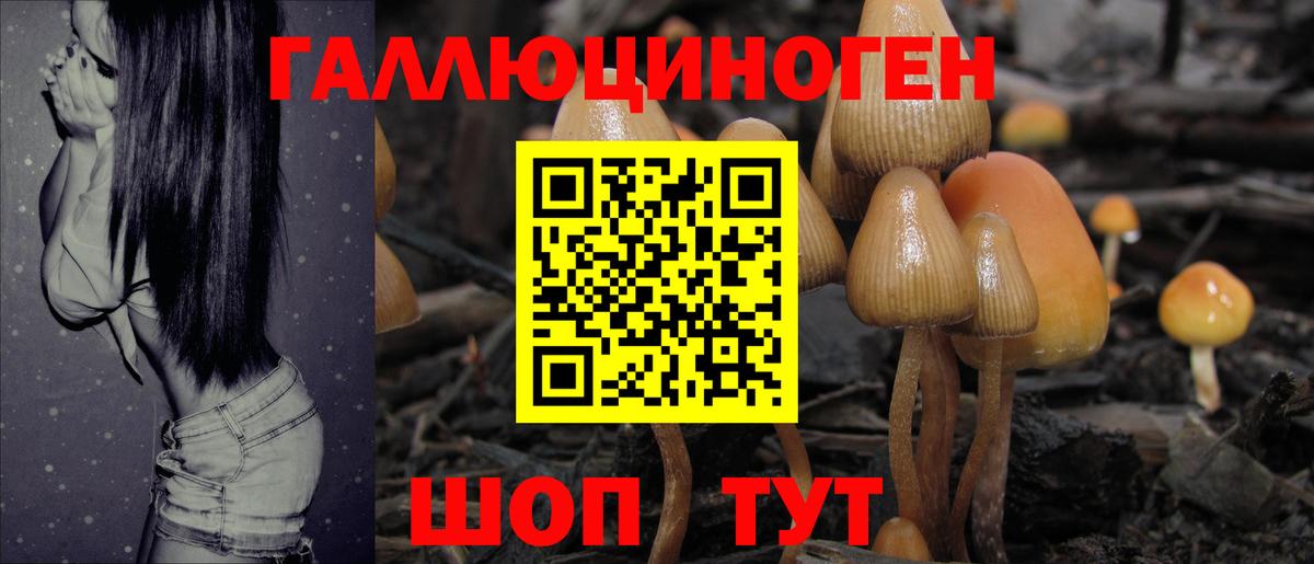 Галлюциногенные грибы прущие грибы Чита