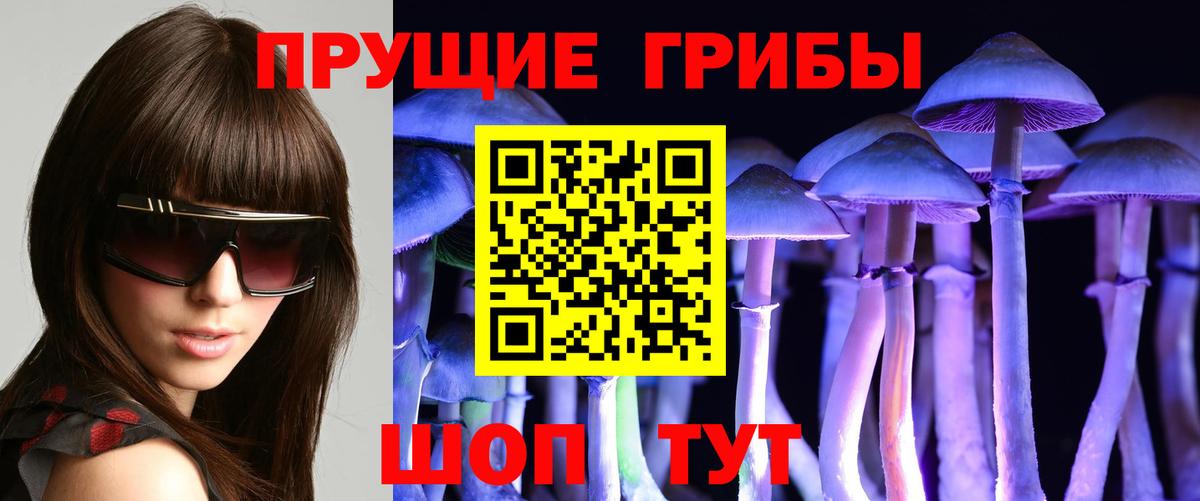 Чита  Псилоцибиновые грибы GOLDEN TEACHER  Галлюциногенные грибы Psilocybine cubensis  Вход с VPN 